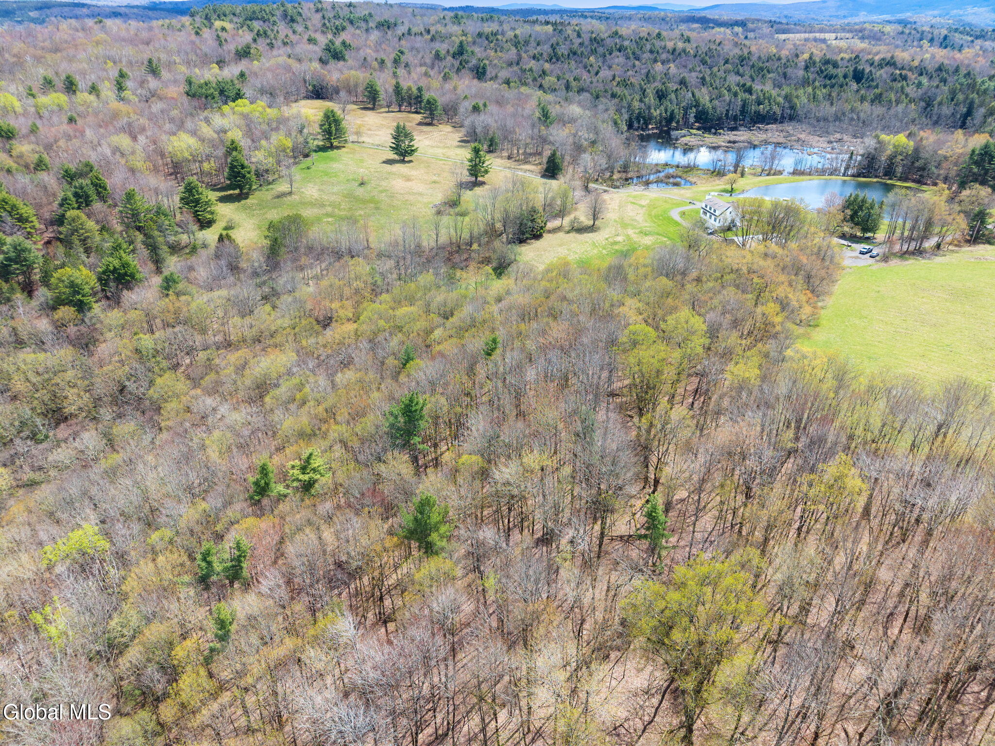 L25 Fuller District Road Jefferson NY 12093