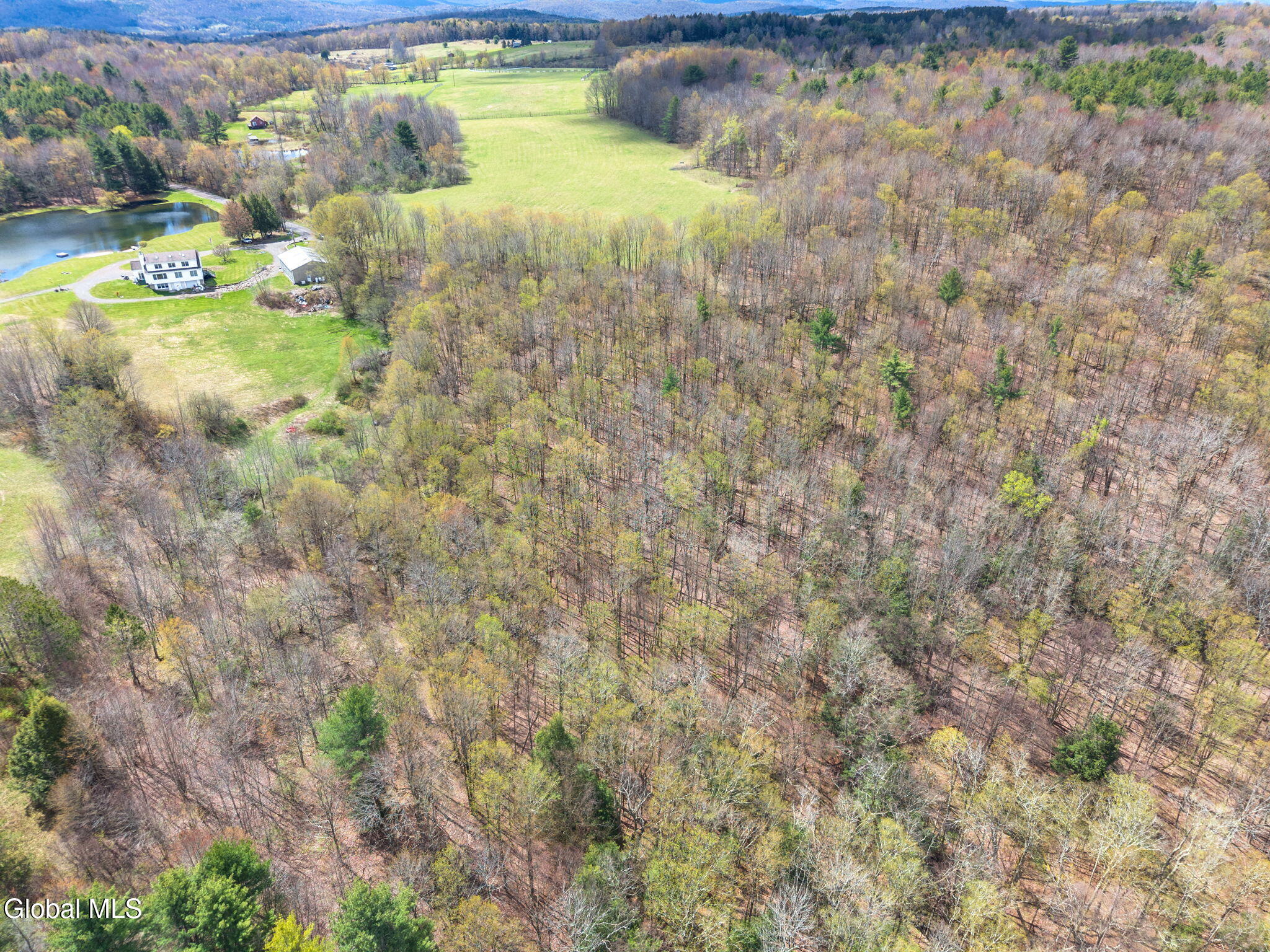 L25 Fuller District Road Jefferson NY 12093