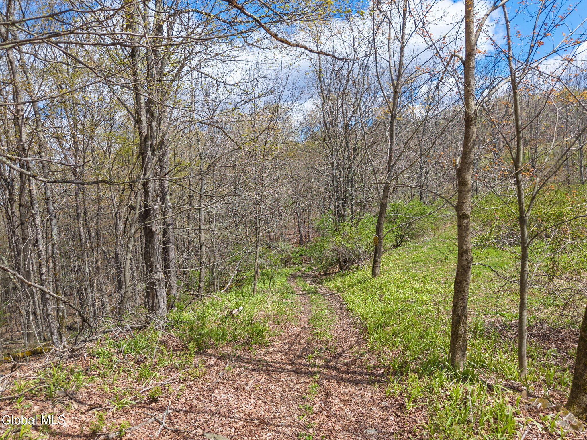 L25 Fuller District Road Jefferson NY 12093