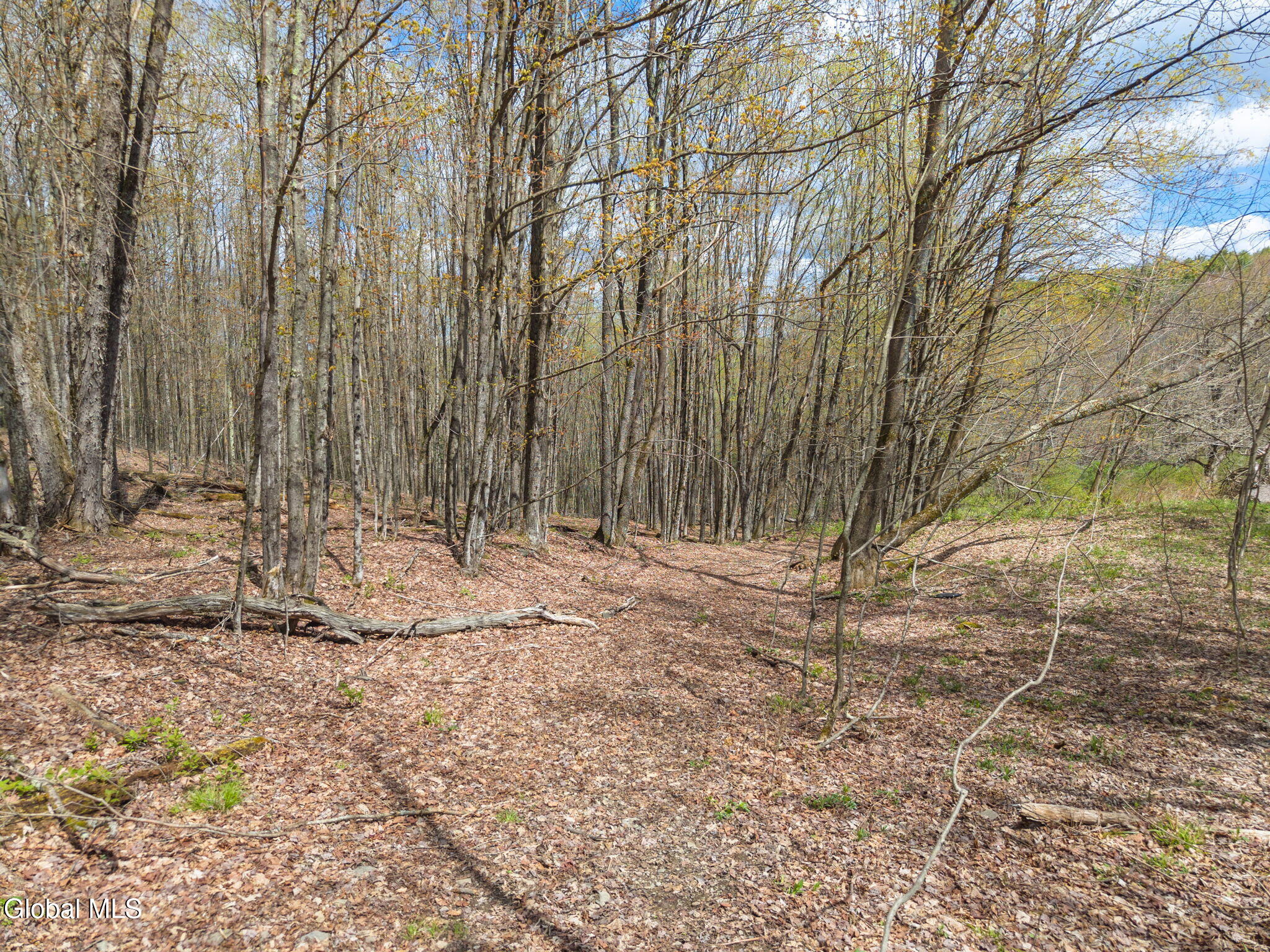 L25 Fuller District Road Jefferson NY 12093
