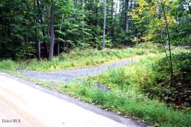 L30.4 Old Gale Hill Road East Chatham NY 12060