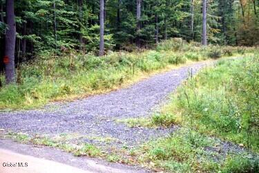 L30.4 Old Gale Hill Road East Chatham NY 12060