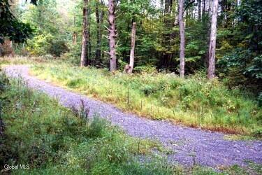 L30.4 Old Gale Hill Road East Chatham NY 12060