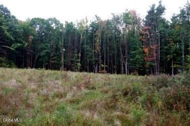 L30.4 Old Gale Hill Road East Chatham NY 12060