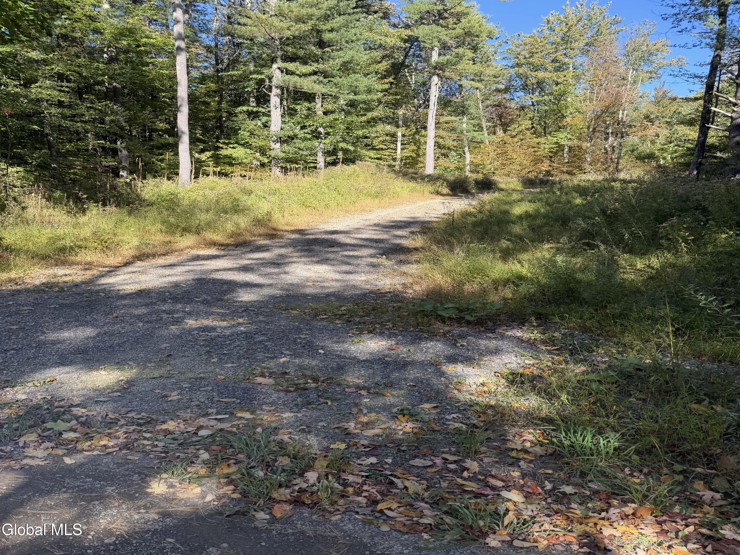 L30.4 Old Gale Hill Road East Chatham NY 12060