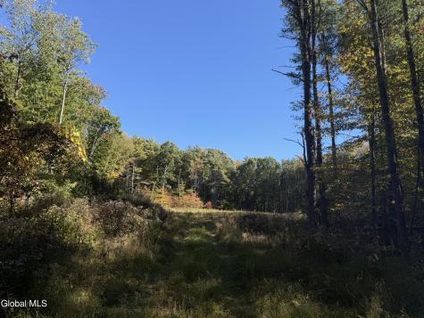 L30.4 Old Gale Hill Road East Chatham NY 12060