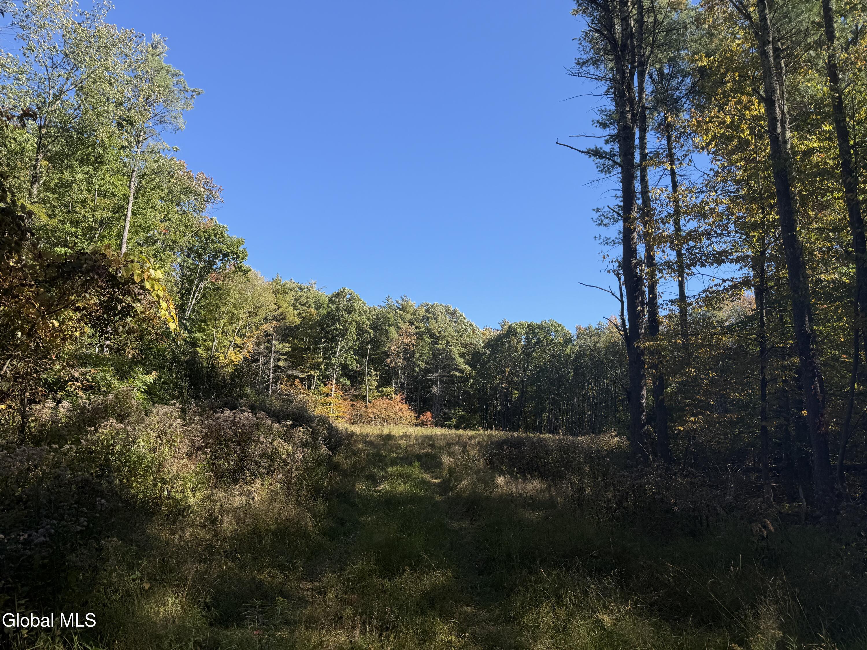 L30.4 Old Gale Hill Road East Chatham NY 12060