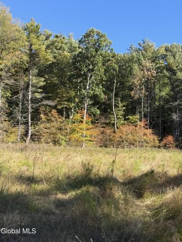 L30.4 Old Gale Hill Road East Chatham NY 12060