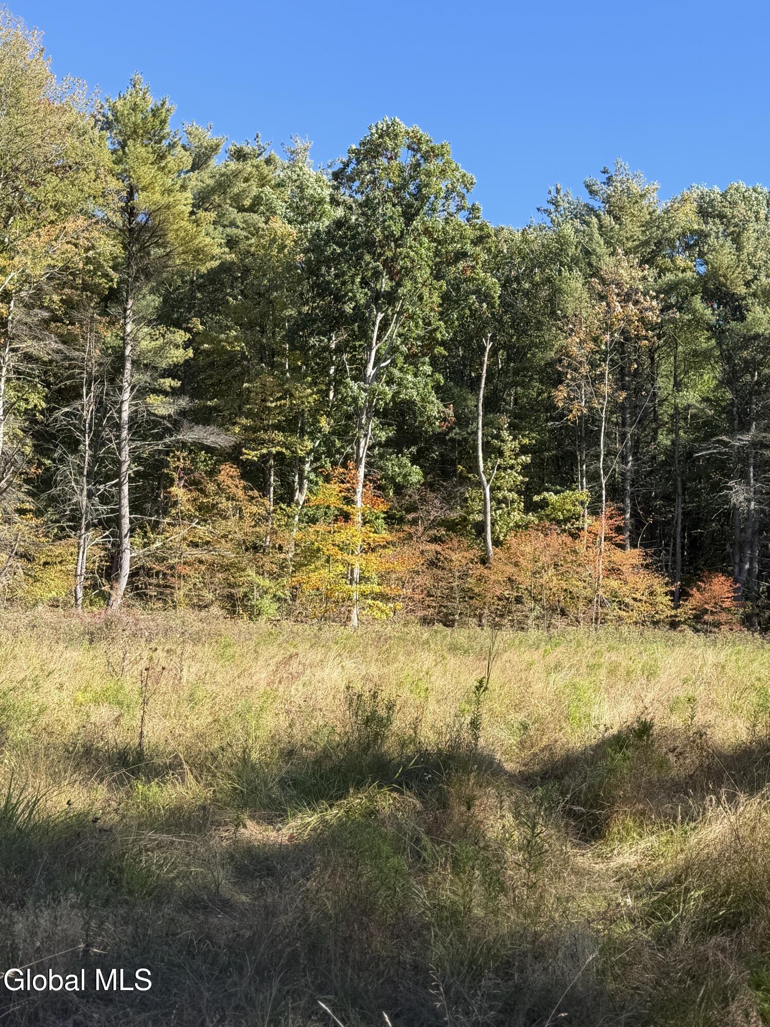 L30.4 Old Gale Hill Road East Chatham NY 12060