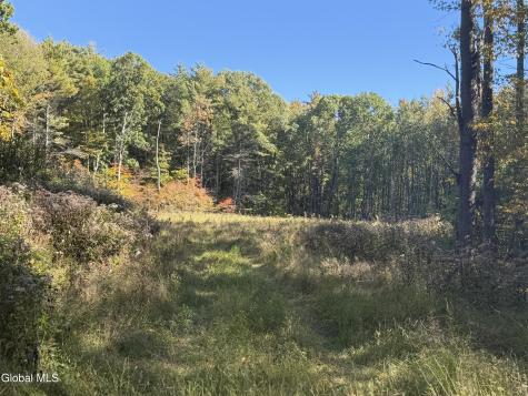L30.4 Old Gale Hill Road East Chatham NY 12060