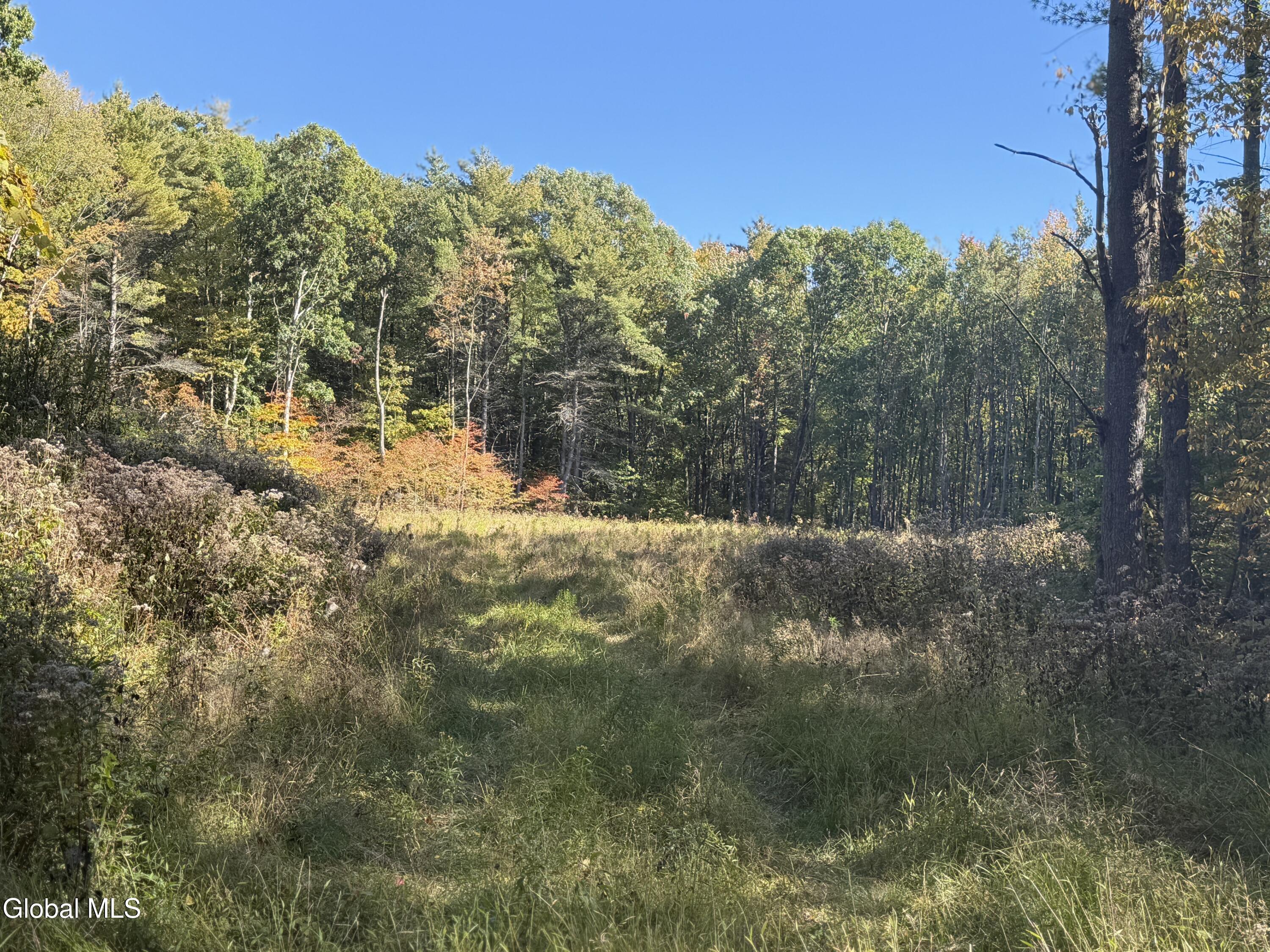 L30.4 Old Gale Hill Road East Chatham NY 12060