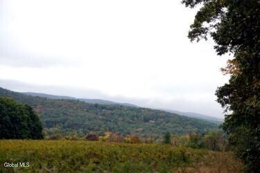 L30.4 Old Gale Hill Road East Chatham NY 12060