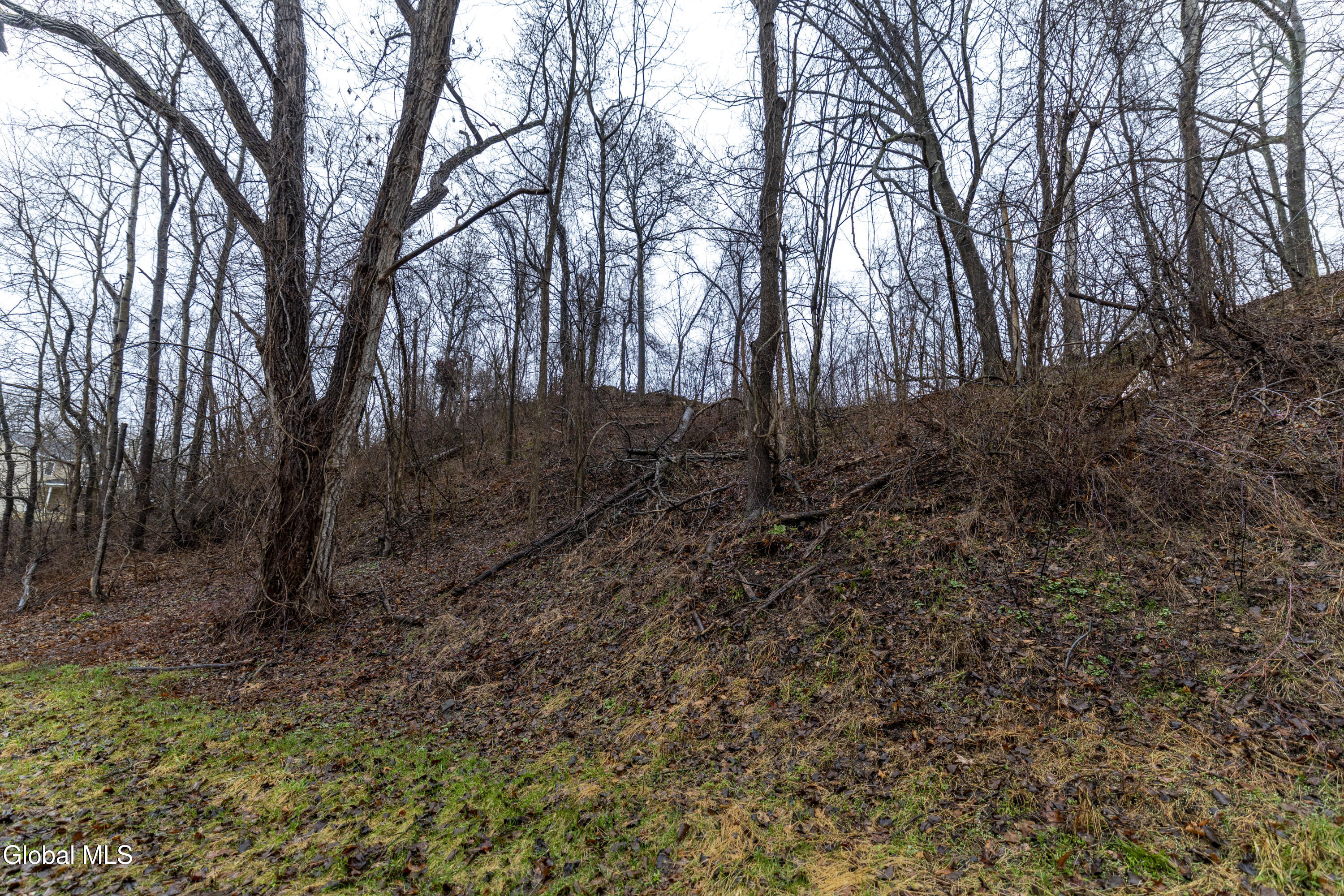 94 Briar Avenue Albany NY 12203