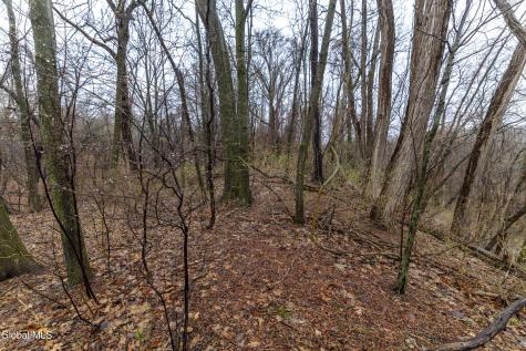 94 Briar Avenue Albany NY 12203