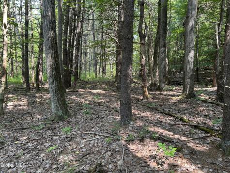 L12.100 Willsie Road Berne NY 12023