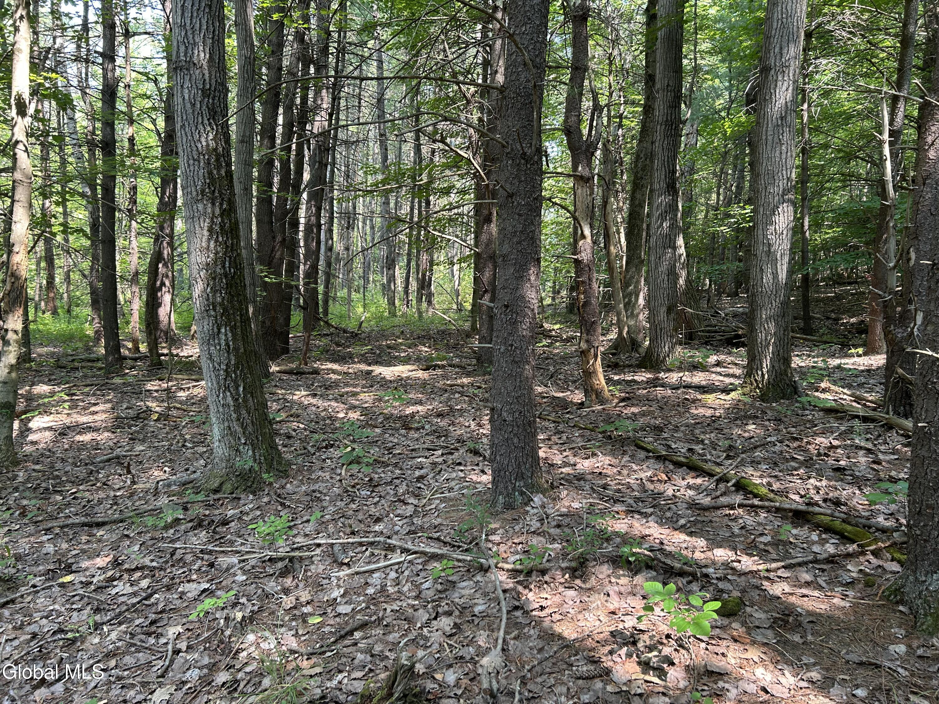 L12.100 Willsie Road Berne NY 12023