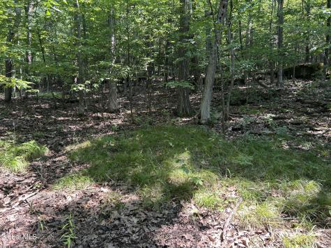 L12.100 Willsie Road Berne NY 12023