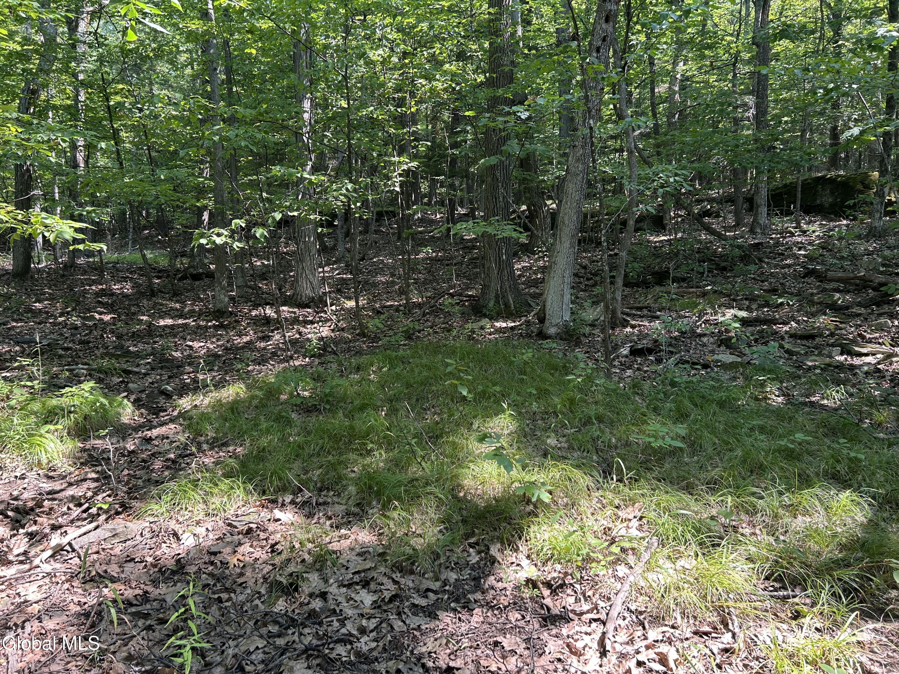 L12.100 Willsie Road Berne NY 12023
