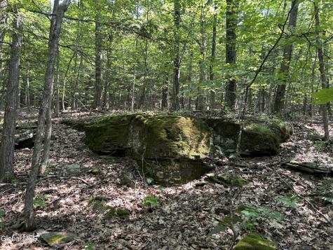 L12.100 Willsie Road Berne NY 12023