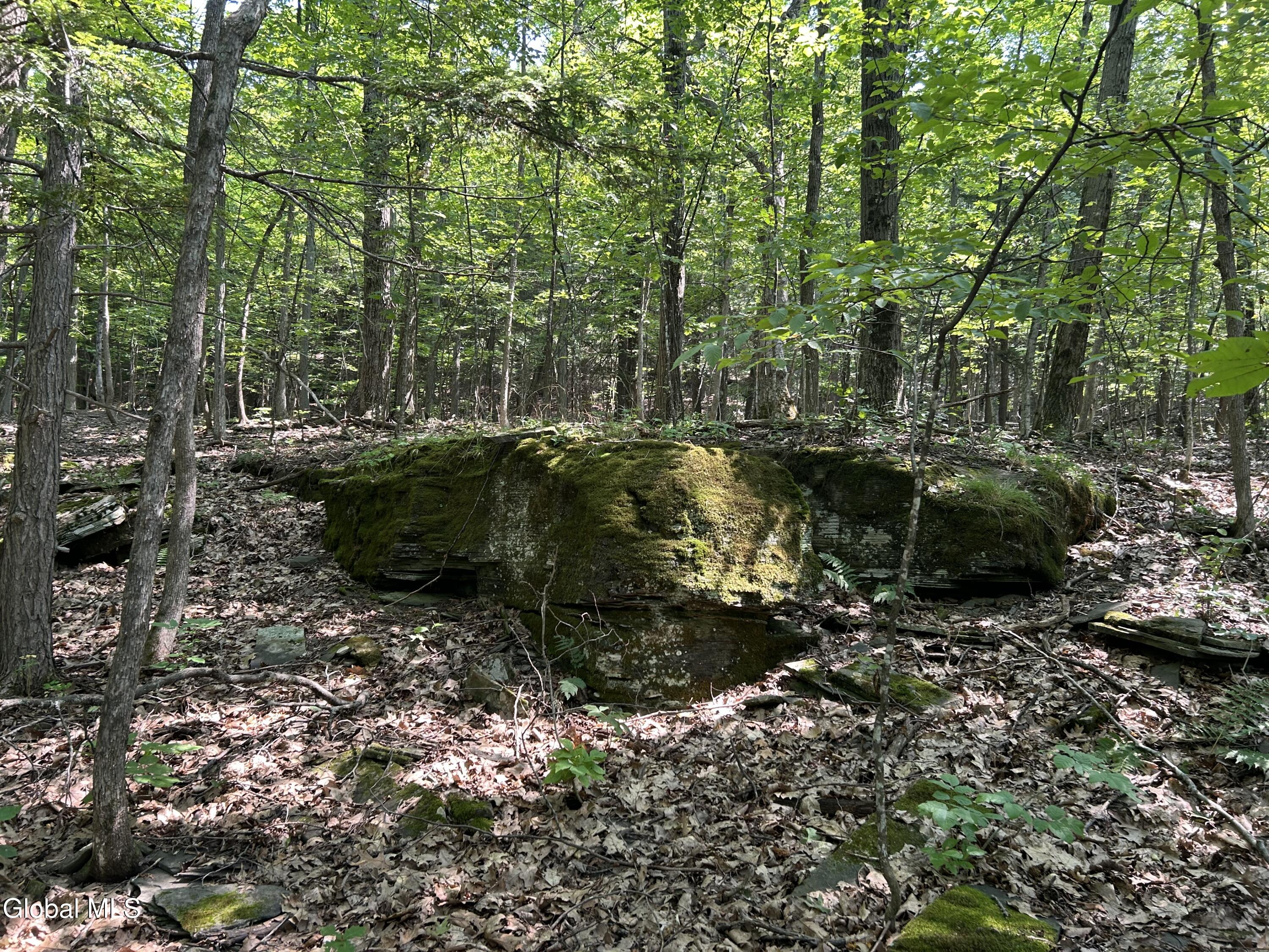 L12.100 Willsie Road Berne NY 12023