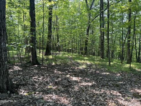 L12.100 Willsie Road Berne NY 12023