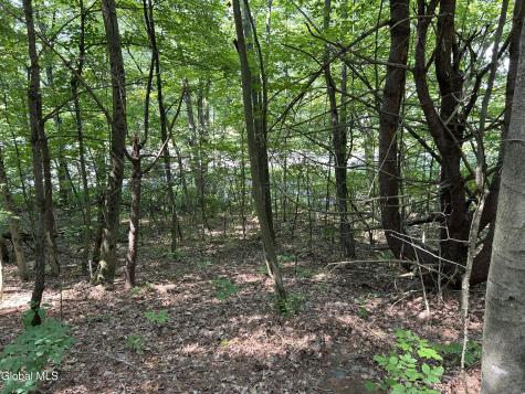L12.100 Willsie Road Berne NY 12023