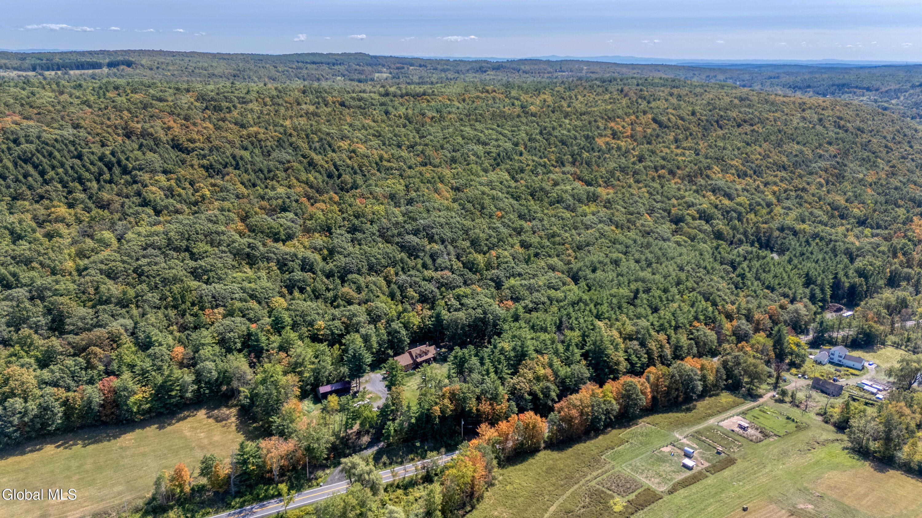 L12.100 Willsie Road Berne NY 12023