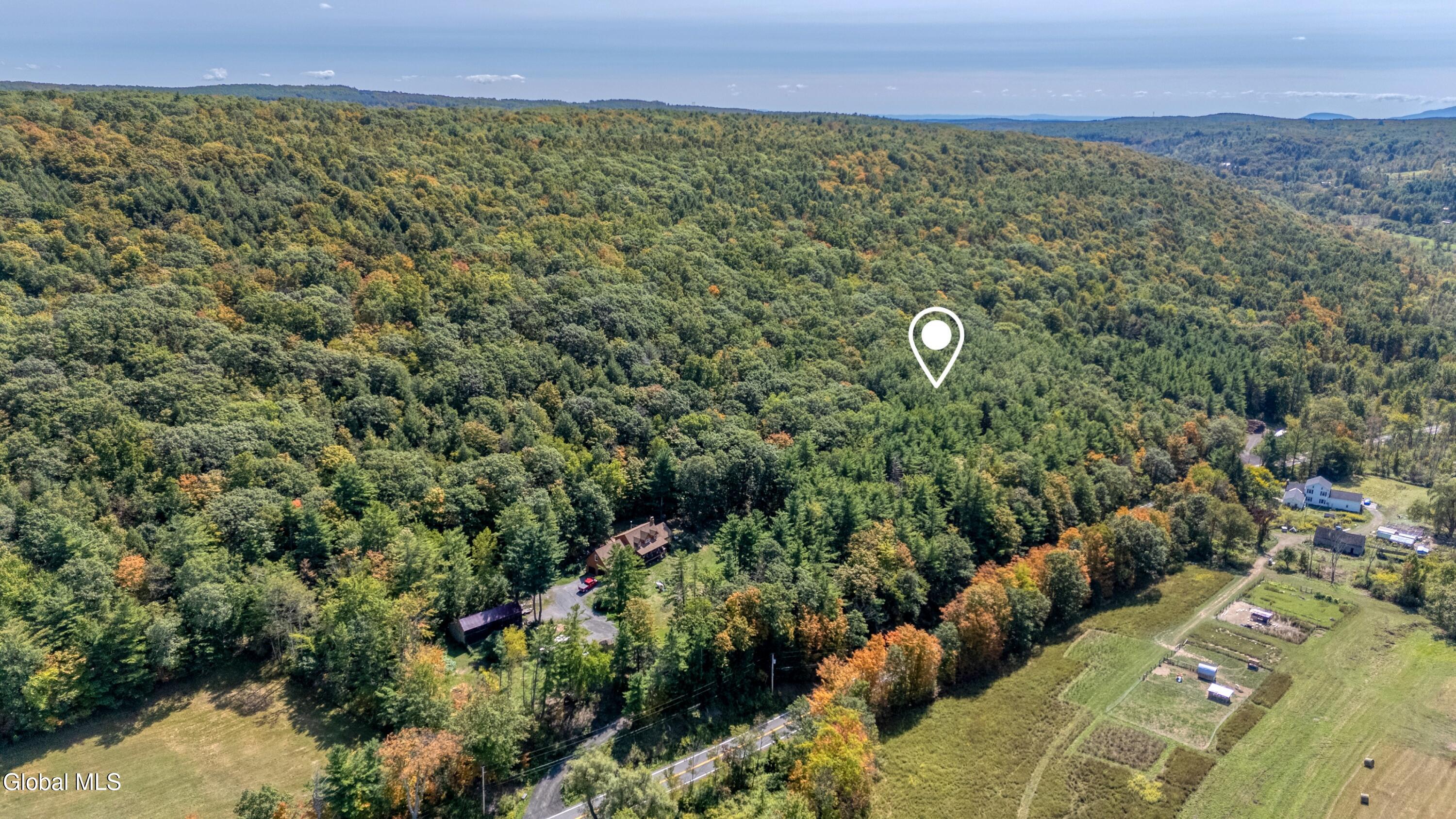 L12.100 Willsie Road Berne NY 12023