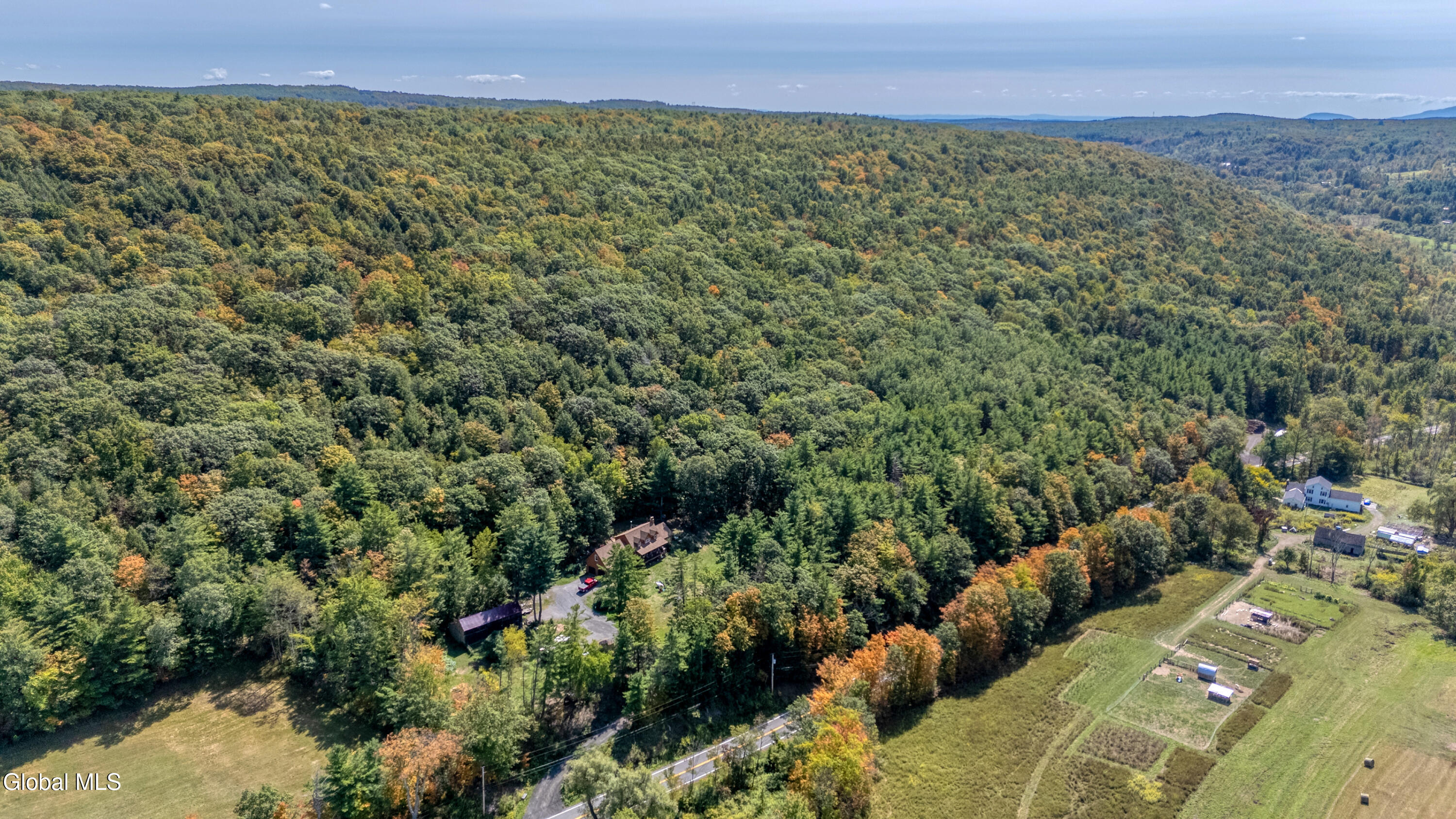 L12.100 Willsie Road Berne NY 12023