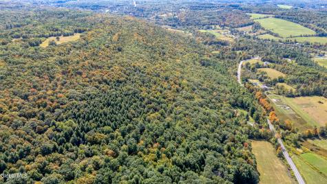 L12.100 Willsie Road Berne NY 12023