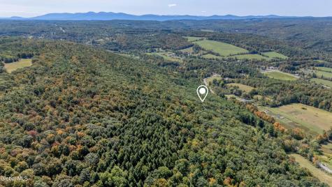 L12.100 Willsie Road Berne NY 12023