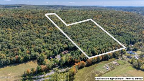 L12.100 Willsie Road Berne NY 12023