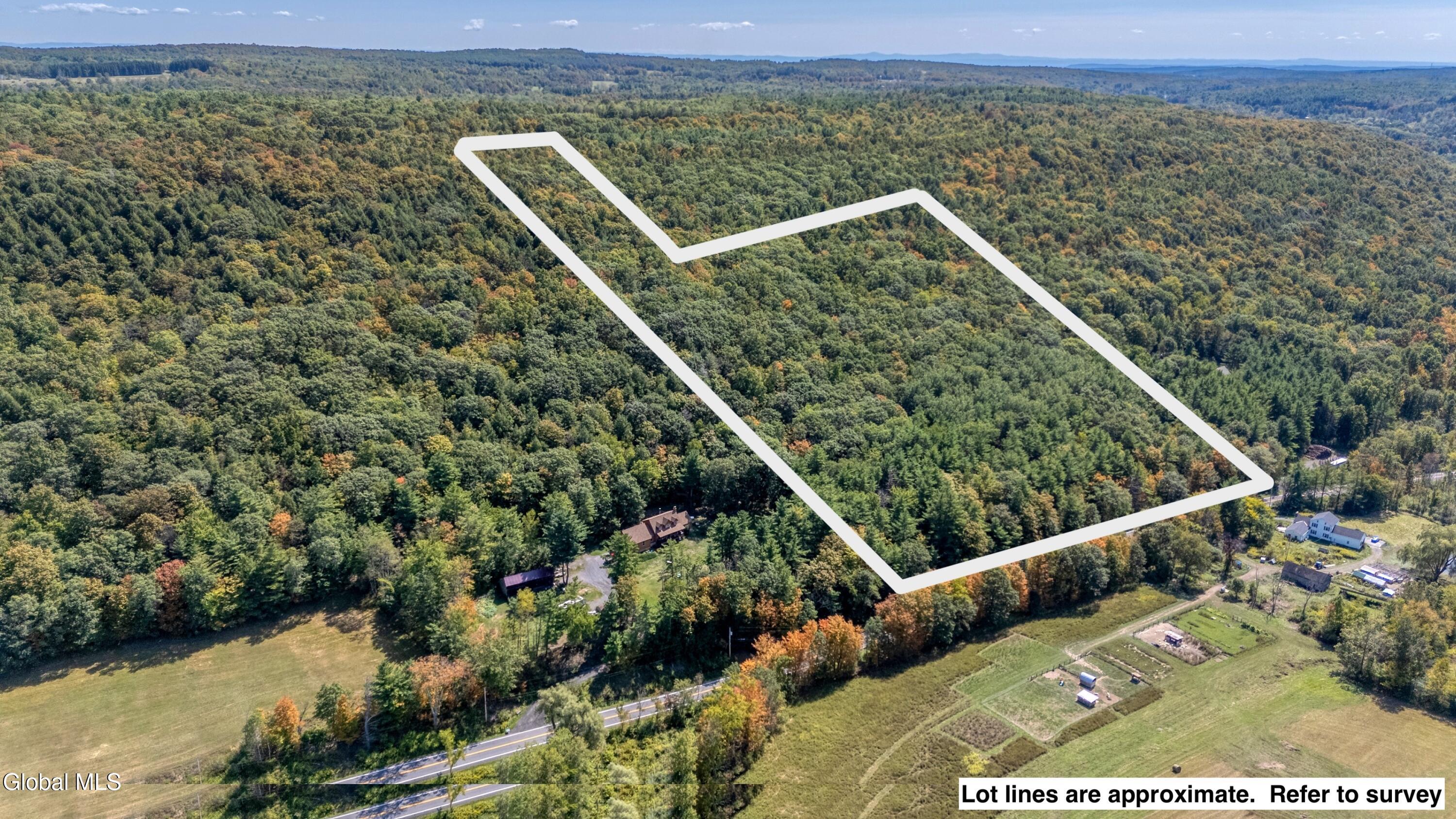L12.100 Willsie Road Berne NY 12023