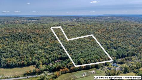 L12.100 Willsie Road Berne NY 12023