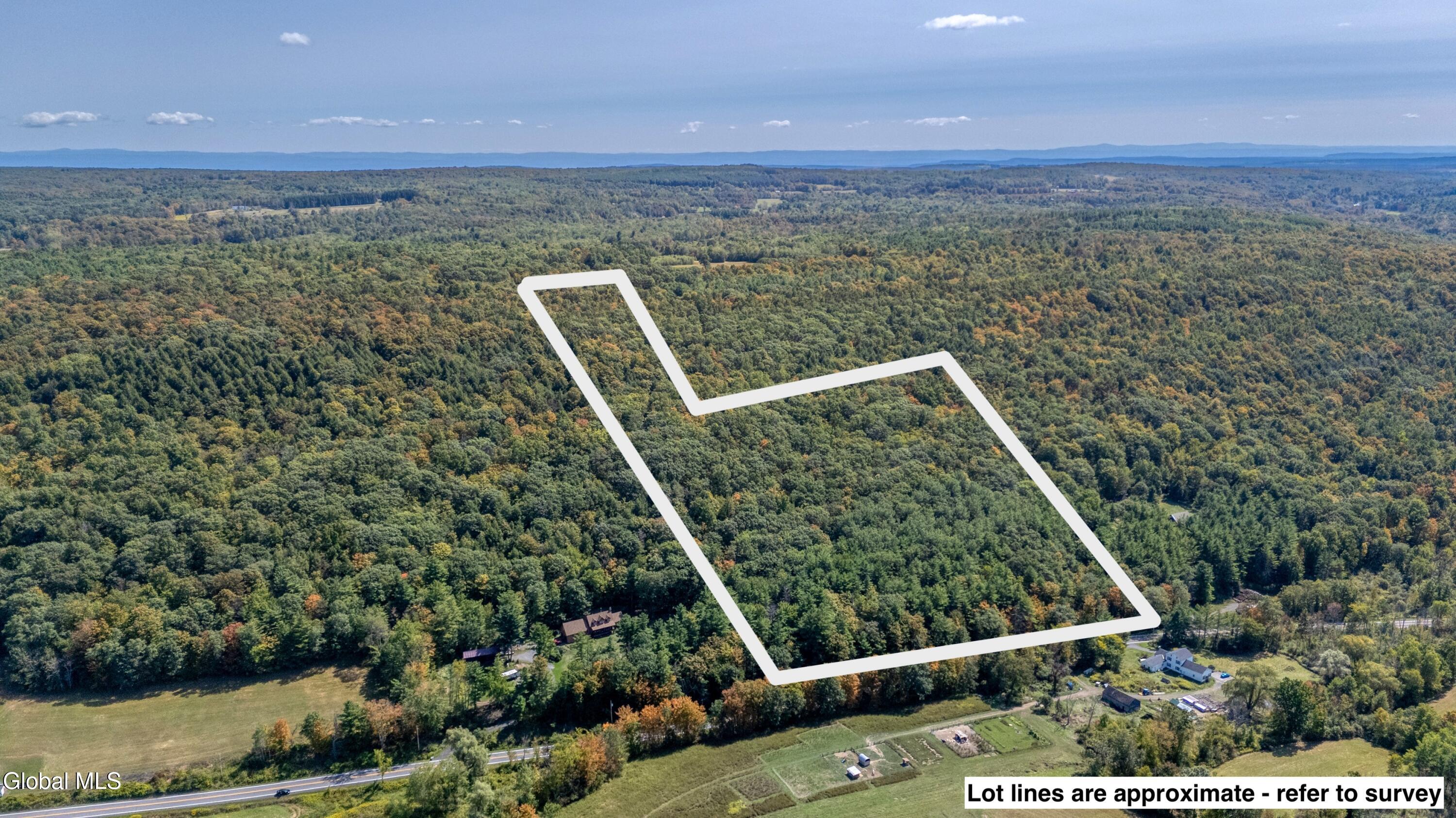 L12.100 Willsie Road Berne NY 12023