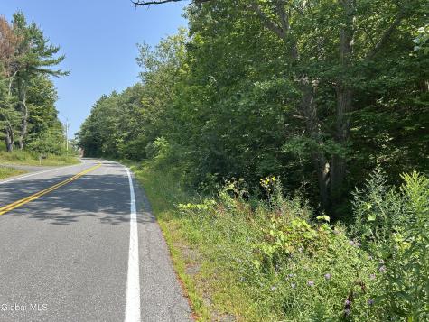 L12.100 Willsie Road Berne NY 12023