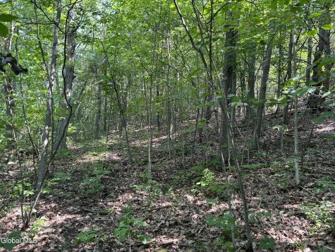 L12.100 Willsie Road Berne NY 12023