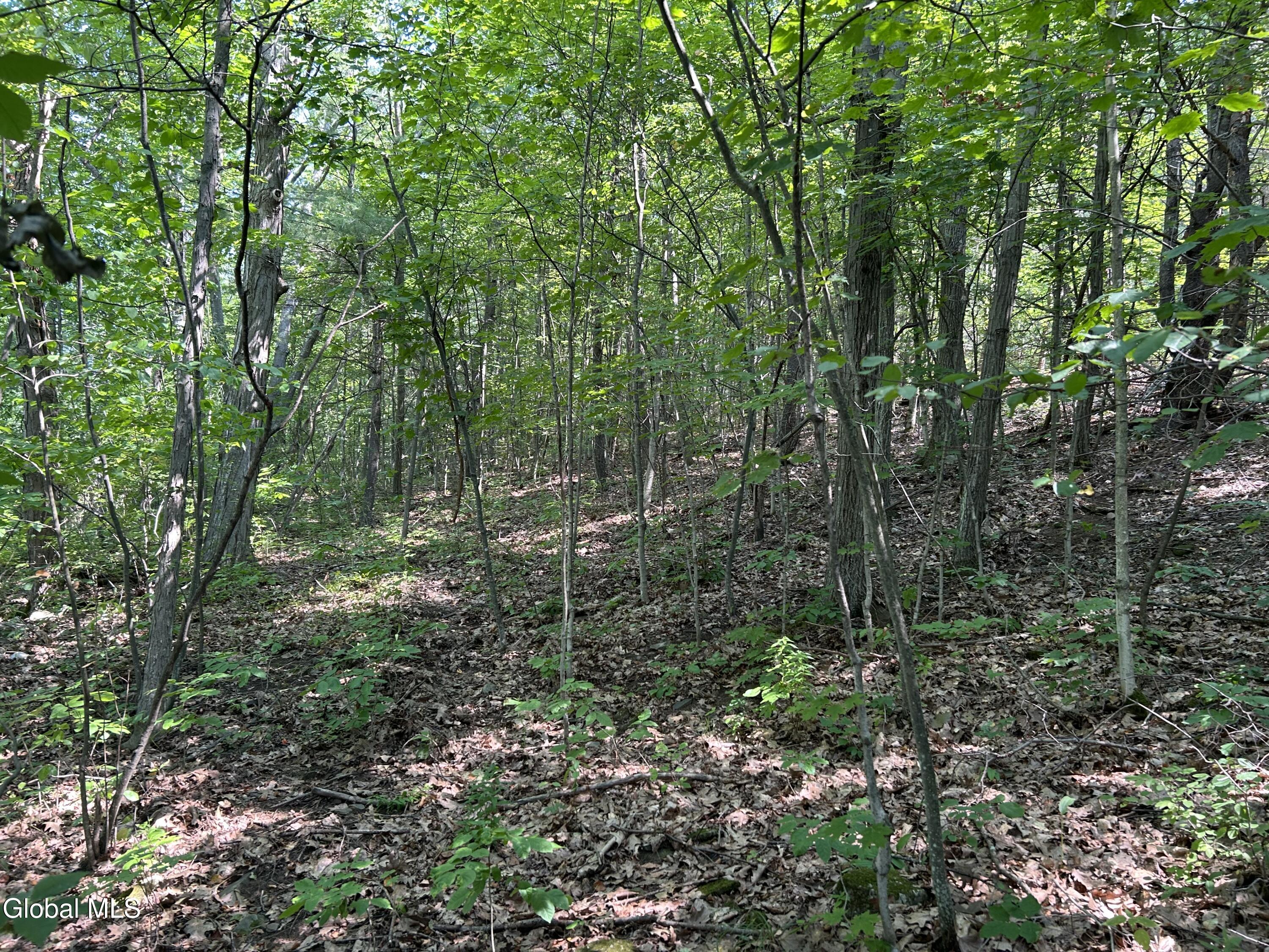 L12.100 Willsie Road Berne NY 12023