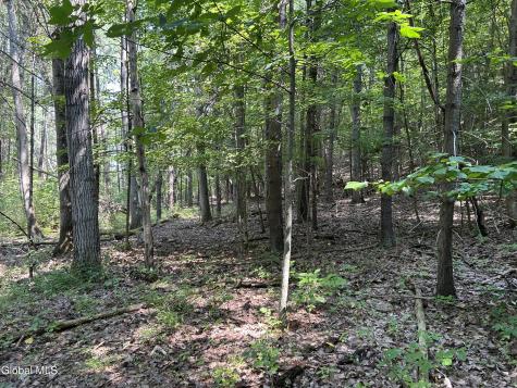 L12.100 Willsie Road Berne NY 12023
