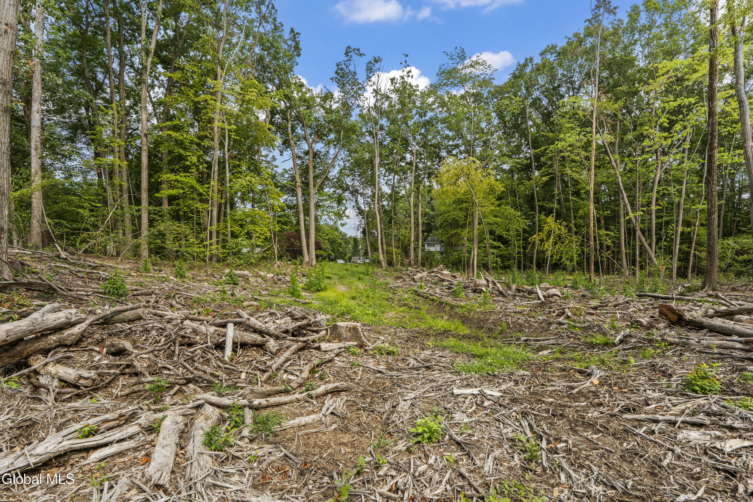 230 Woodin Road Clifton Park NY 12065