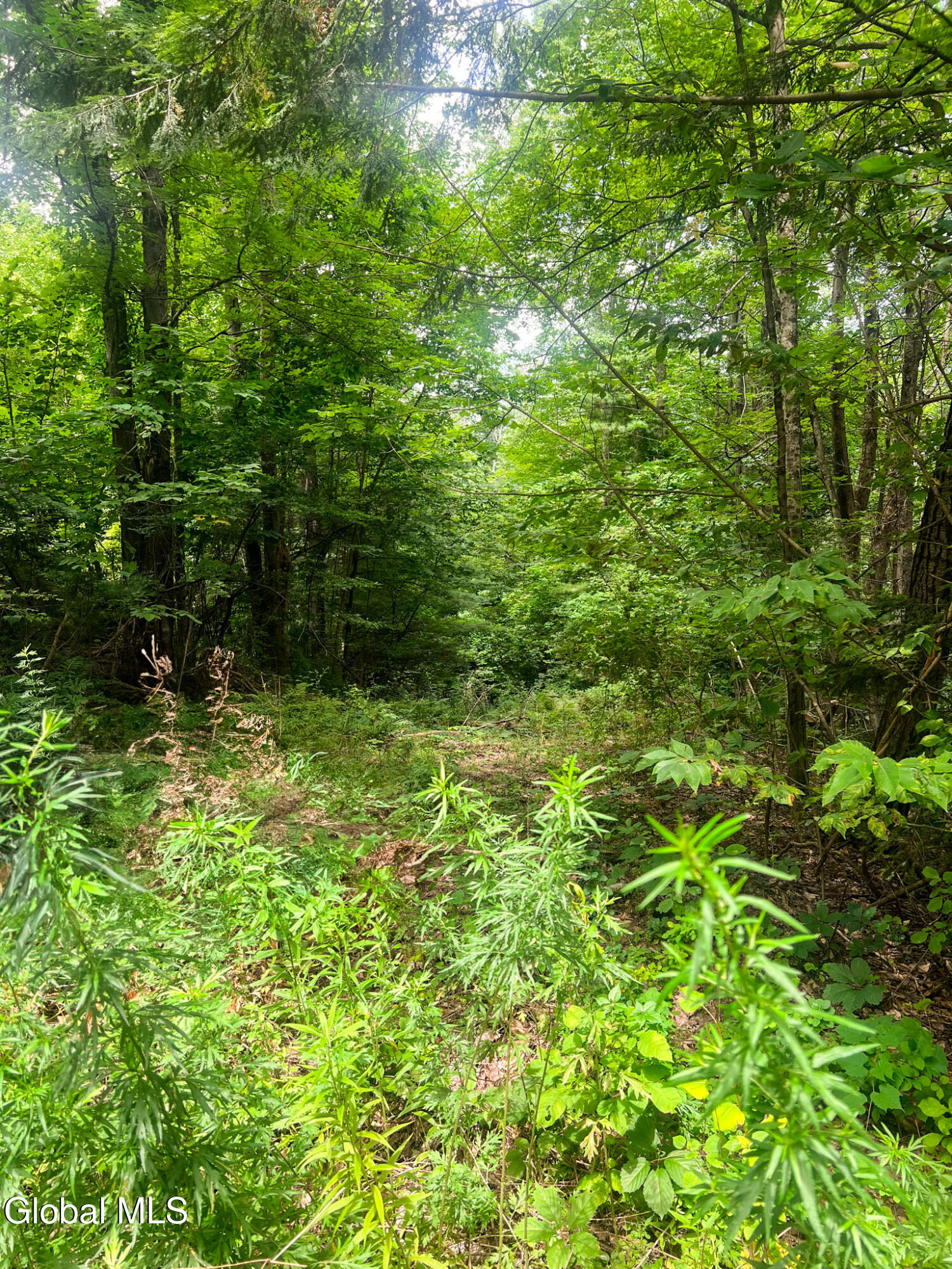 132 Wesskum Woods Road Gloversville NY 12078