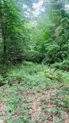 132 Wesskum Woods Road Gloversville NY 12078