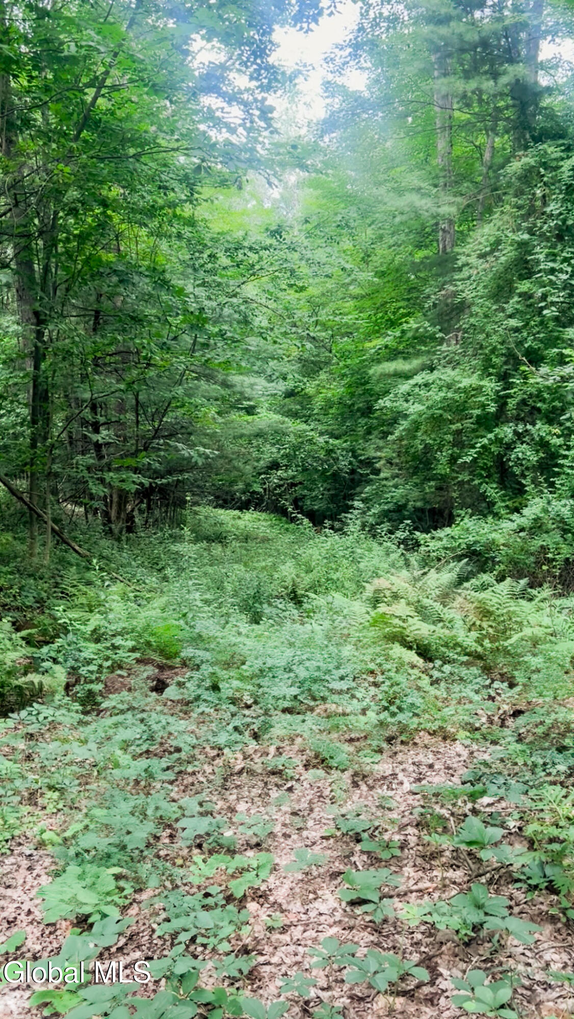 132 Wesskum Woods Road Gloversville NY 12078