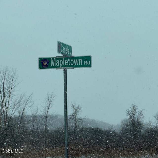 L4 Mapletown Road Root NY 12166