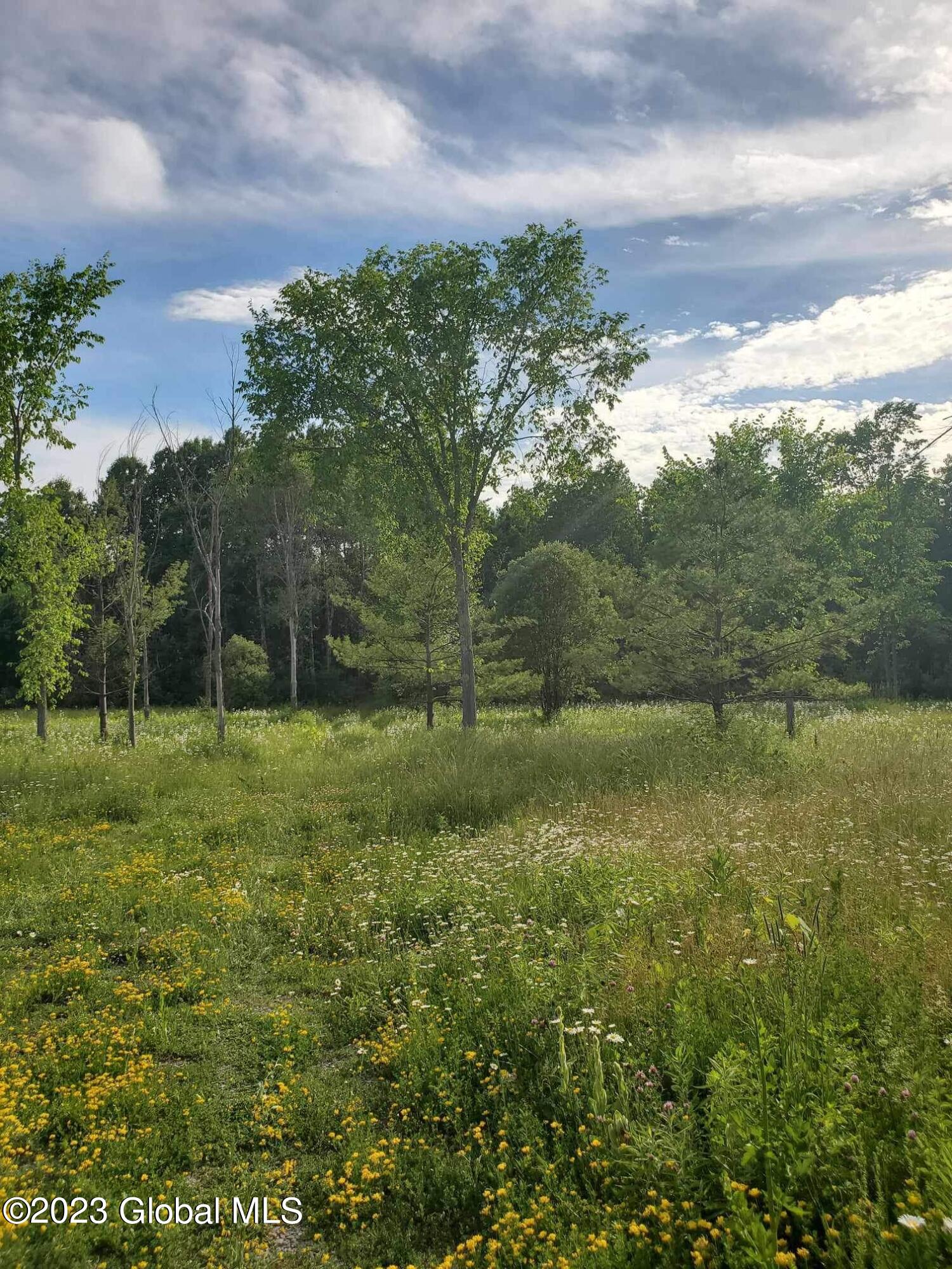 L10 Toback Road Charleston NY 12066