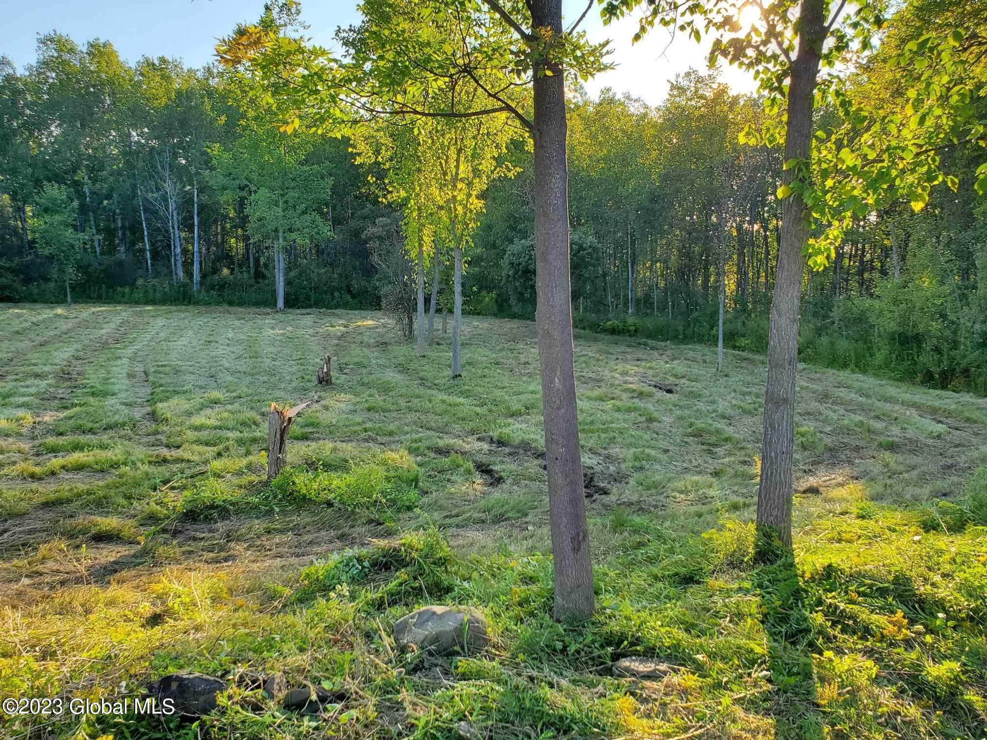 L10 Toback Road Charleston NY 12066