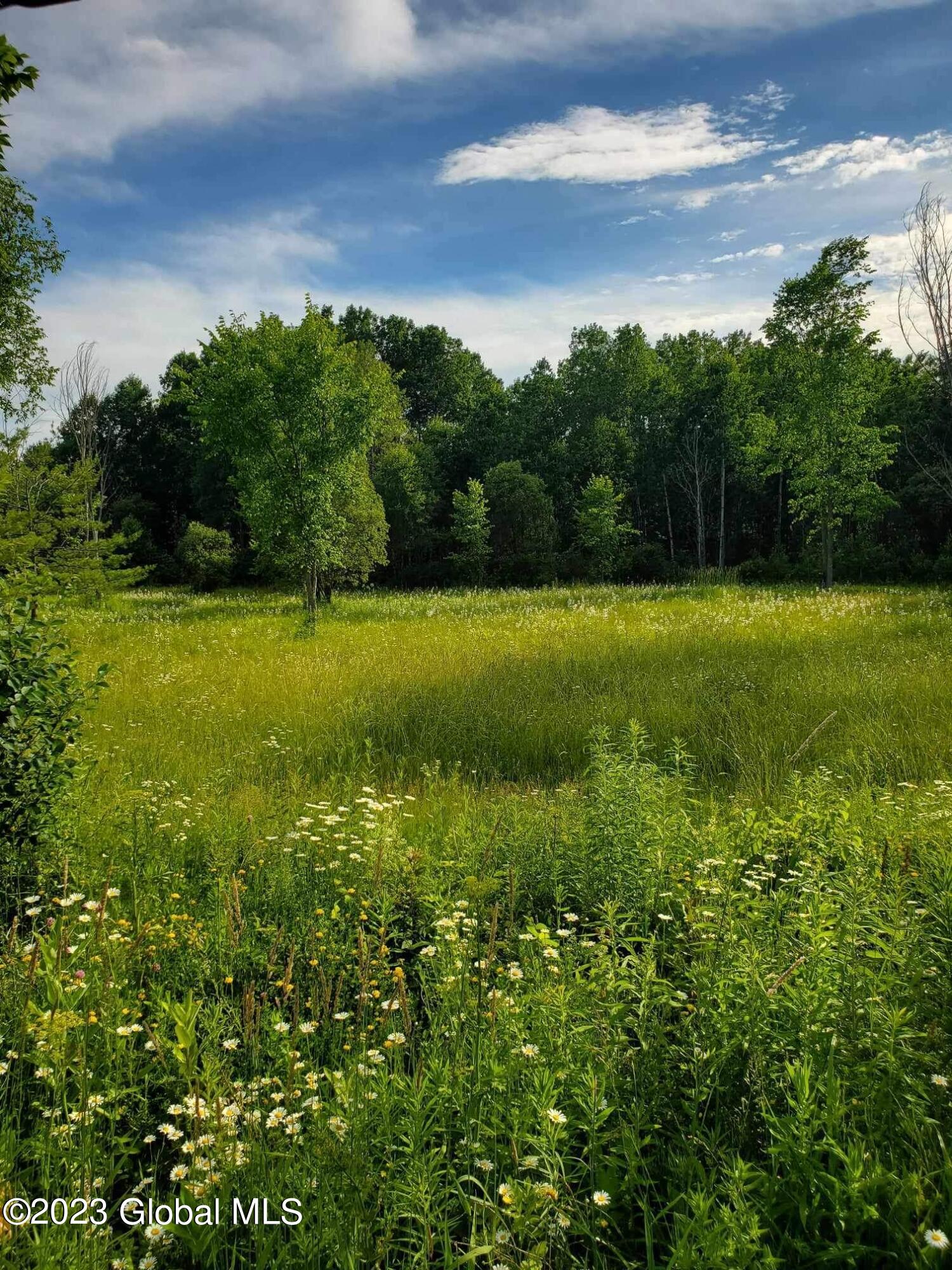 L10 Toback Road Charleston NY 12066