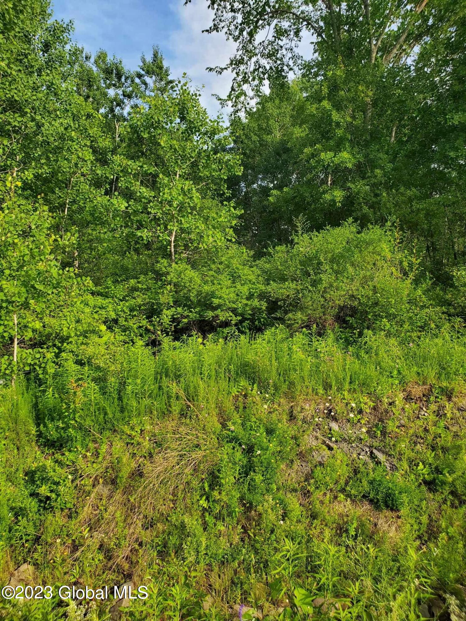 L10 Toback Road Charleston NY 12066