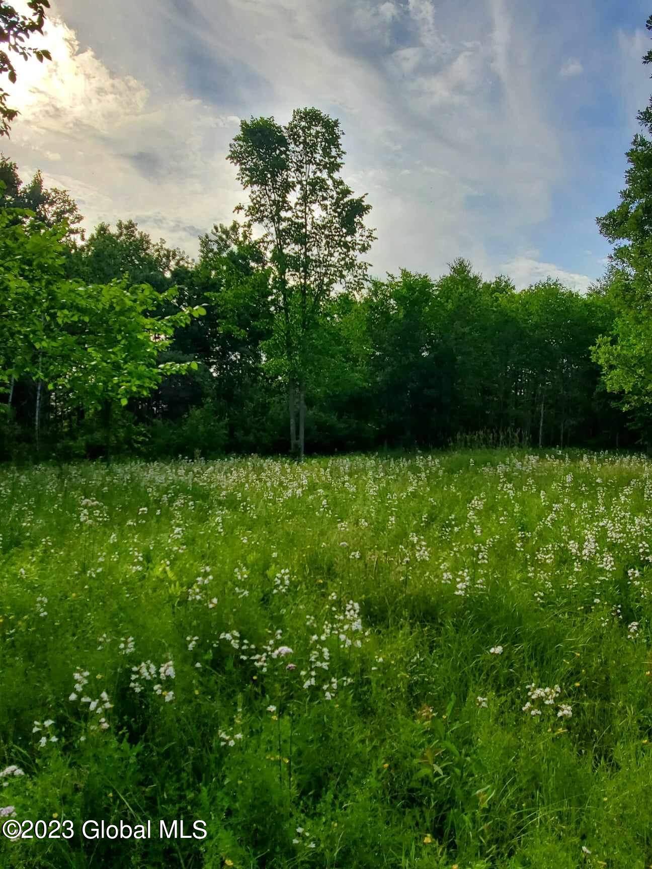 L10 Toback Road Charleston NY 12066