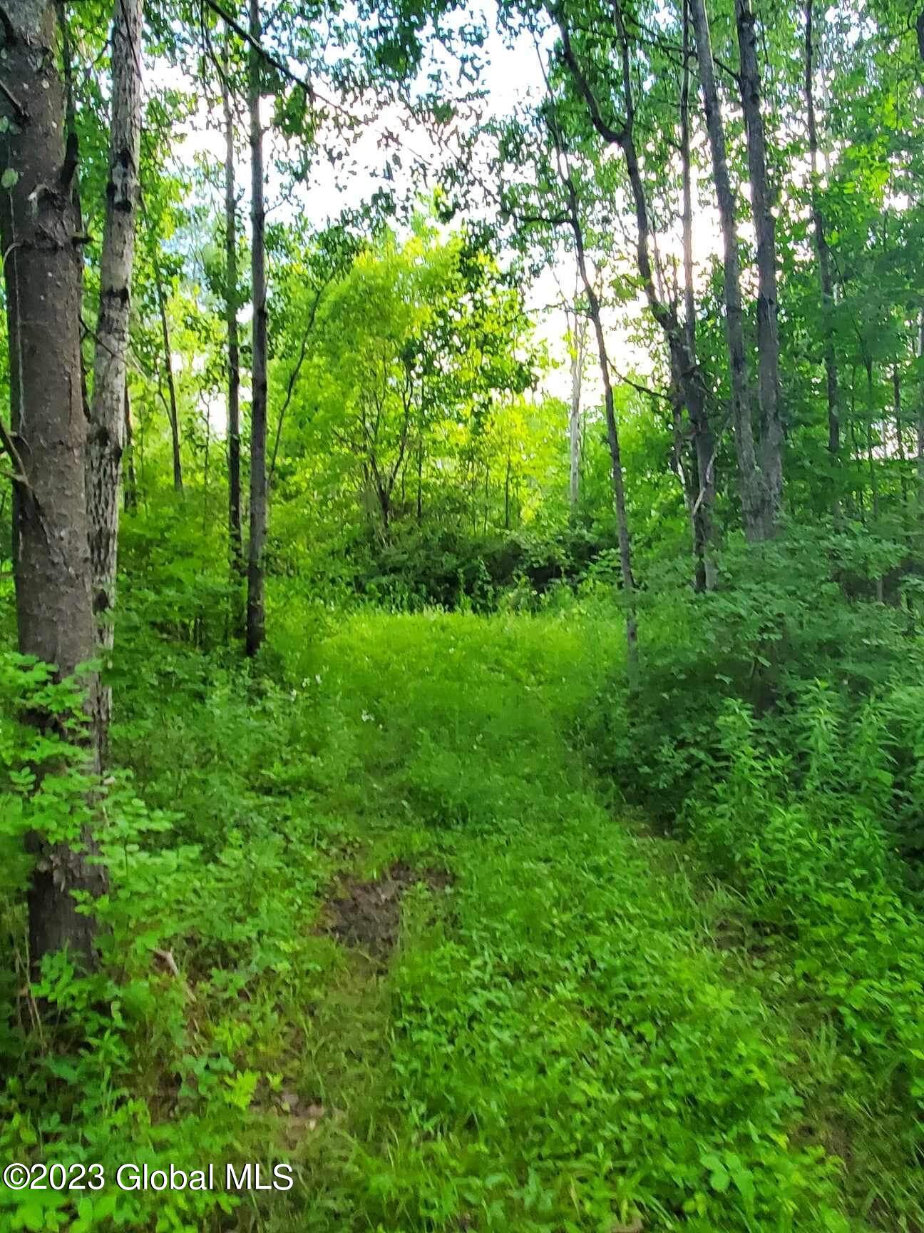 L10 Toback Road Charleston NY 12066
